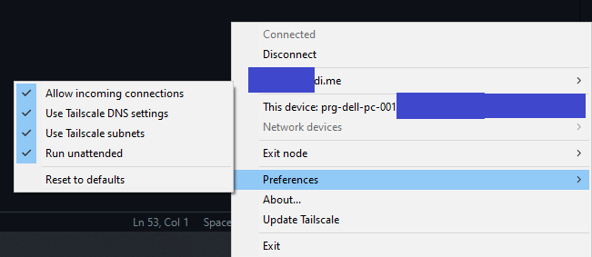 Tailscale preferences